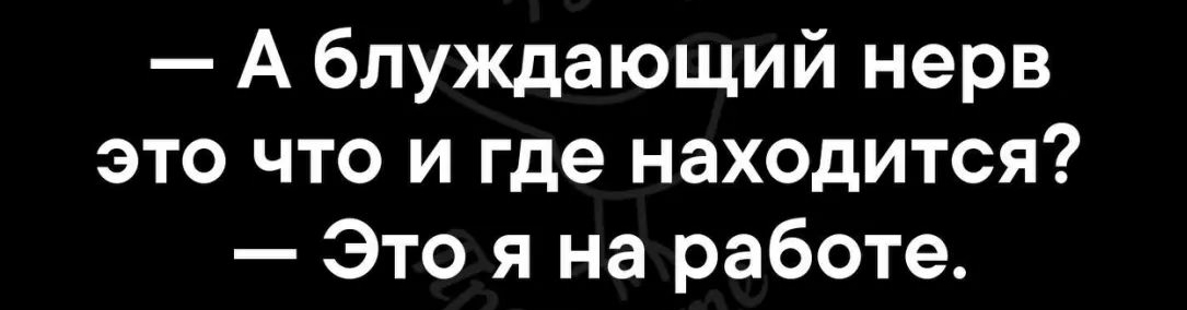 А блуждающий нерв это что и где находится Это я на работе