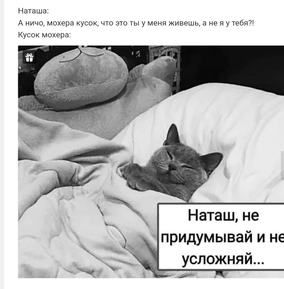 Наташа А ничо мохера кусок что это ты у меня живешь а не я у тебя Кусок мохера Наташ не придумывай и не усложняй