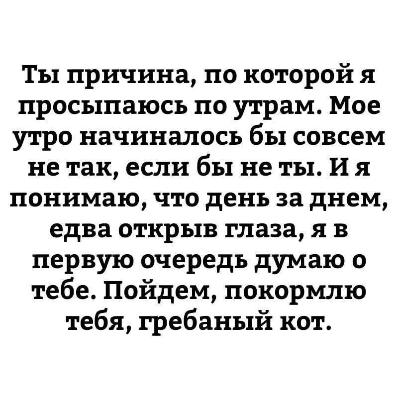 Ты причина по которой я просыпаюсь по утрам Мое утро начиналось бы совсем не так если бы не ты И я понимаю что день за днем едва открыв глаза я в первую очередь думаю о тебе Пойдем покормлю тебя гребаный кот