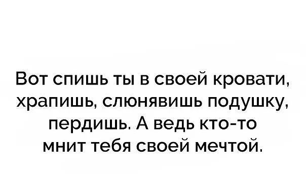 Вот спишь ты в своей кровати храпишь спюнявишь подушку пердишь А ведь кто то мнит тебя своей мечтой