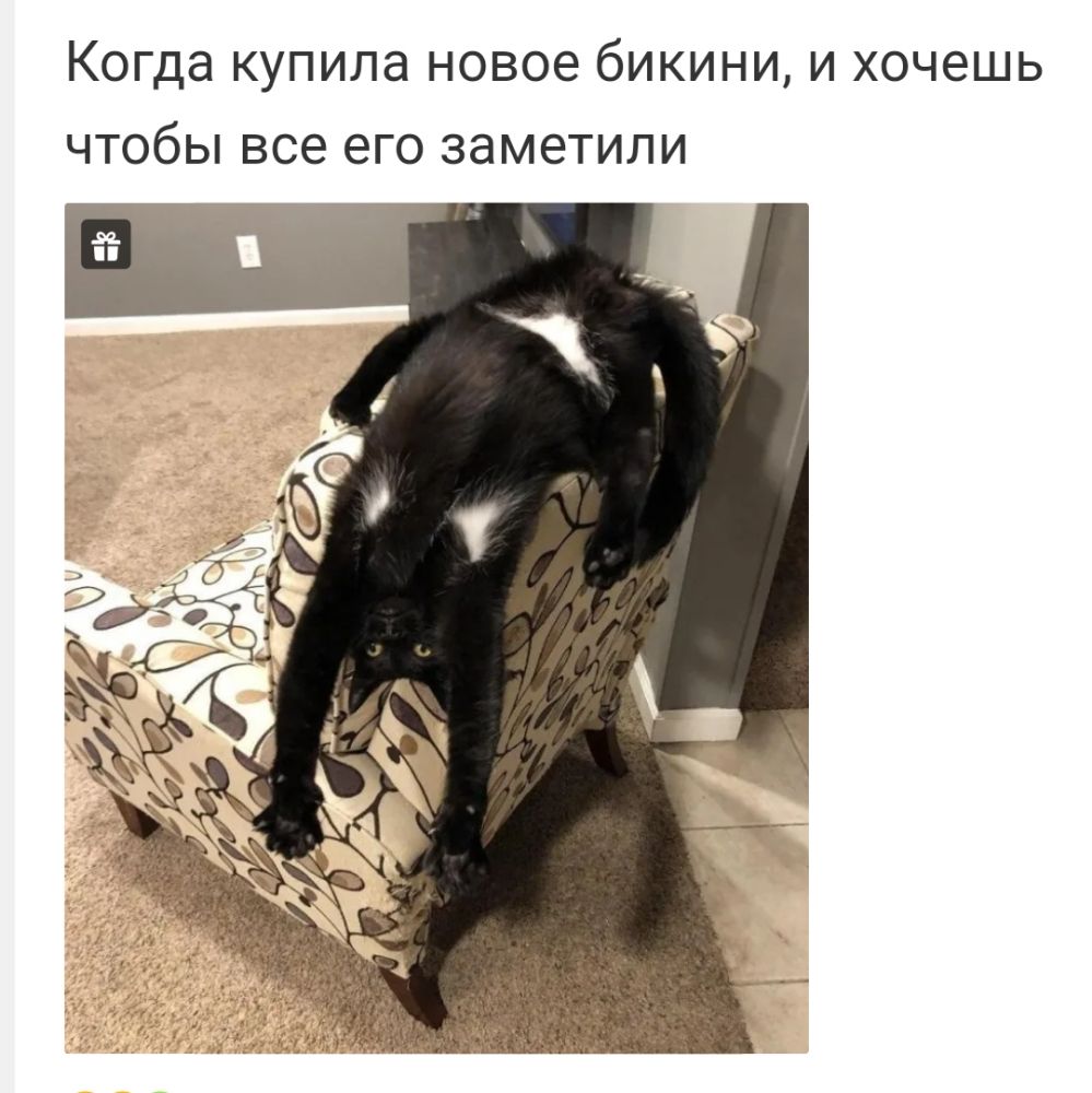 Когда КУПИЛЭ новое бИКИНИ И Х0Ч6ШЬ ЧТОбЫ все ЕГО ЗдМЭТИЛИ