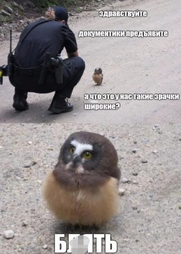 ЕШЕЦПШИШд Т