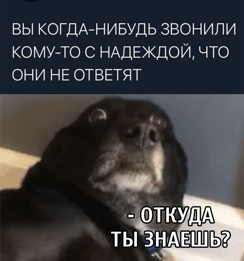 ВЫ КОГДАНИБУДЬ ЗВОНИПИ КОМУТО С НАДЕЖДОЙ ЧТО ОНИ НЕ ОТВЕТЯТ и Датум ты ЗНАЕШЬ