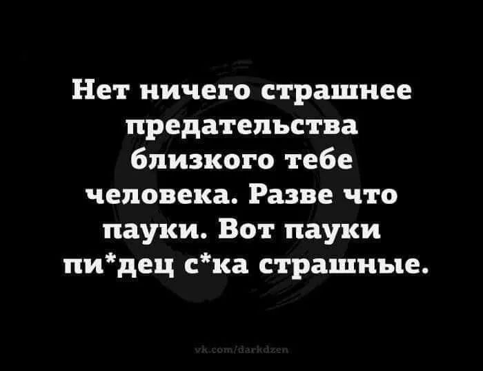 Нет ничего страшнее предательства близкого тебе человека Разве что пауки Вот пауки пидец ска страшные
