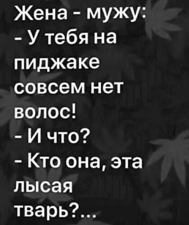 Жена мужу У тебя на пиджаке совсем нет волос И что Кто она эта лысая тварь
