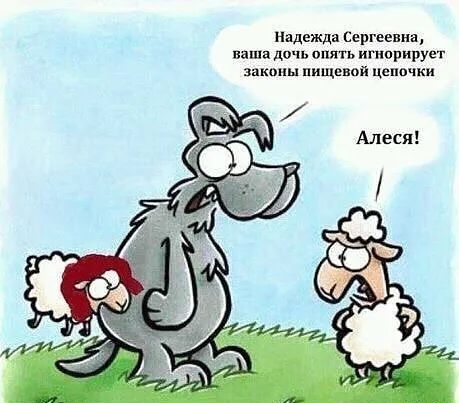 Надежця Сергеевна паша дичь опять игнорирует шкппы пищевой цепочки