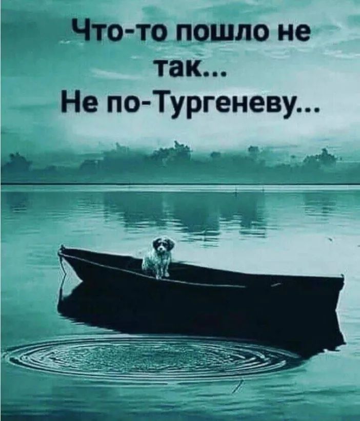 Что то пошло не так Не по Тургеневу