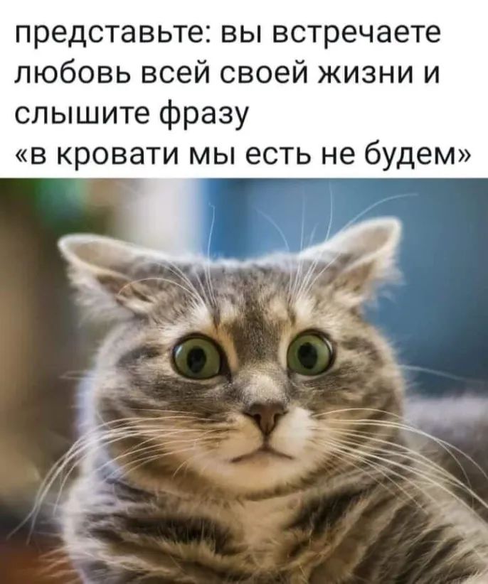 представьте вы встречаете любовь всей своей жизни и слышите фразу в кровати мы есть не будем