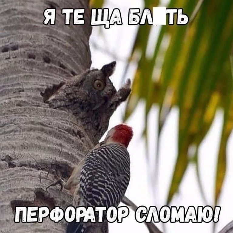ЯТЕЩАБ ТЬ