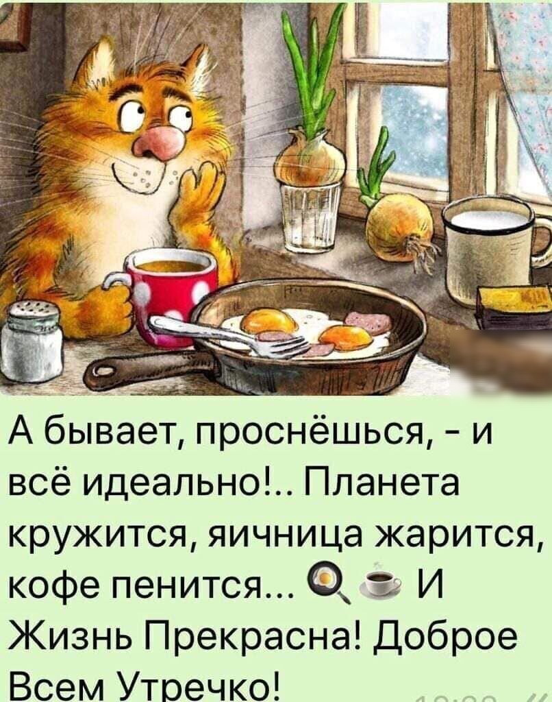 А бывает проснёшься и всё идеально Планета кружится яичница жарится кофе пенится Ты И Жизнь Прекрасна Доброе Всем Утоечко
