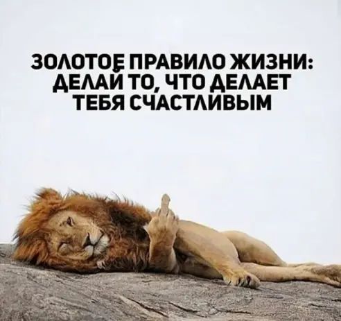 ЗОАОТОЕ ПРАВИАО ЖИЗНИ АЕААИ ТО ЧТО АЕААЕТ ТЕБЯ СЧАСТАИВЫМ