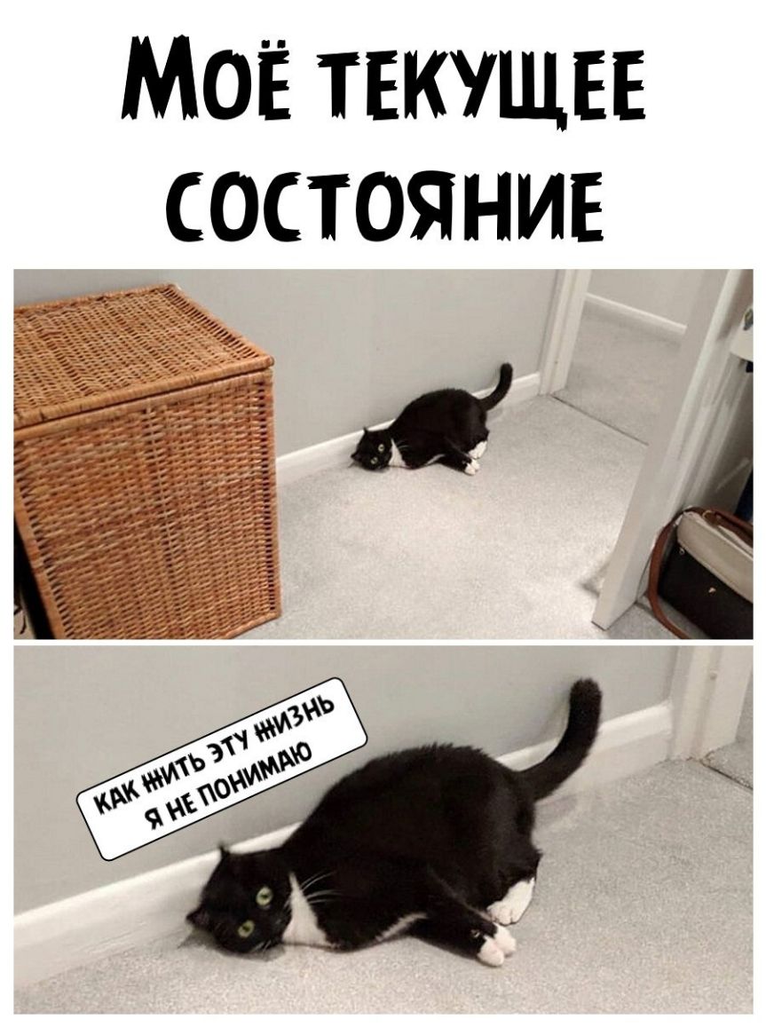 МОЁ текущвв СОСТОЯНИЕ