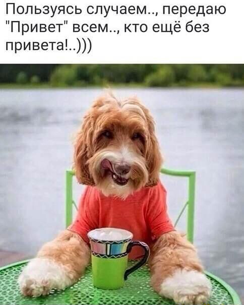 Пользуясь случаем передаю Привет всем кто ещё без привета
