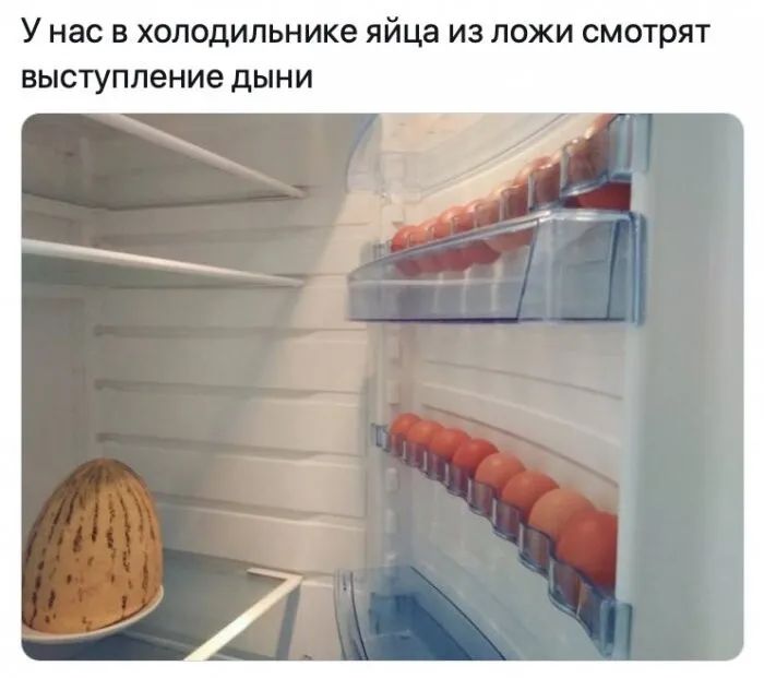 У НВС В холодильнике яйца ИЗ ЛОЖИ смотрят ВЫСТУПЛЭНИЭ дЫНИ