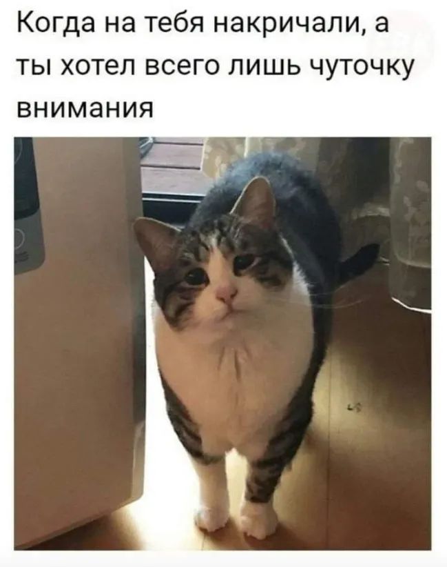 Когда на тебя НЭКРИЧЭЛИ а ТЫ хотел ВСЭГО ЛИШЬ ЧУТОЧКУ ВНИМЭНИЯ