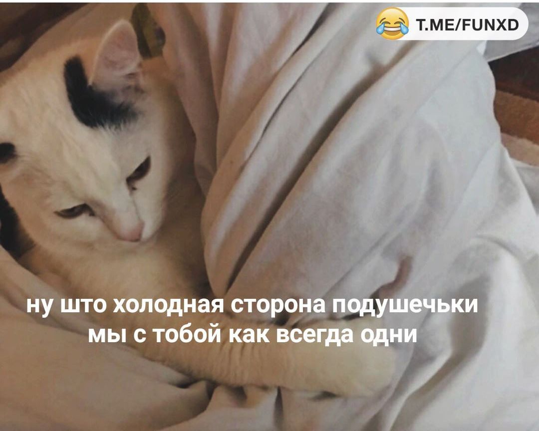 ТМЕРЦМХО _ ну што холодная сторо г мы с тобой как в