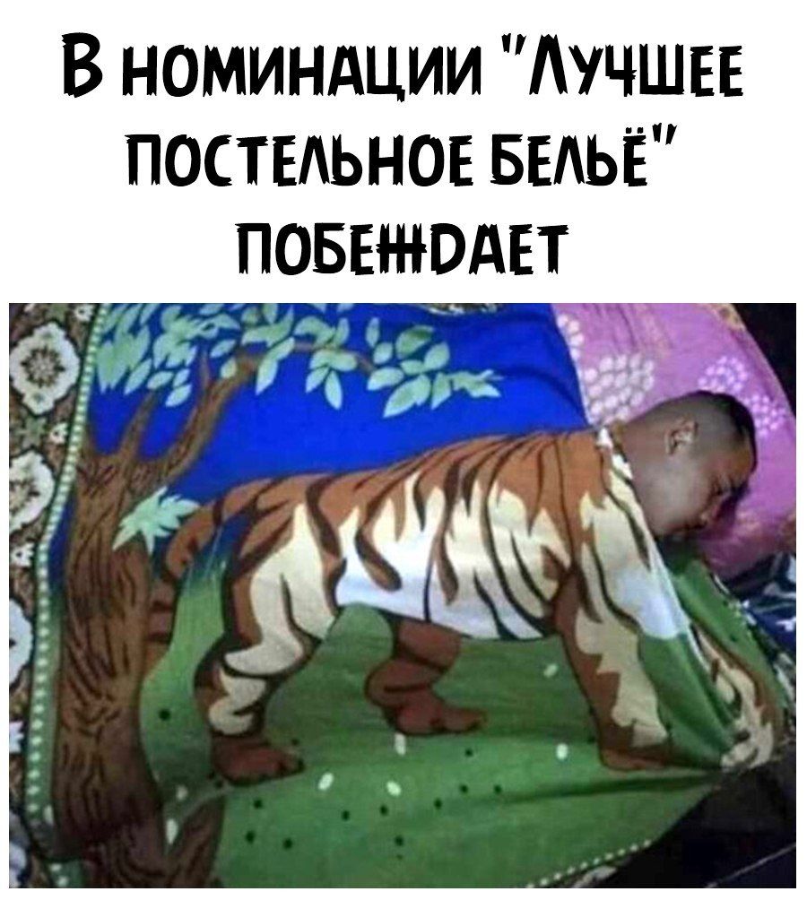В номиндции Аучшггв постыьное БЕАЬЁ
