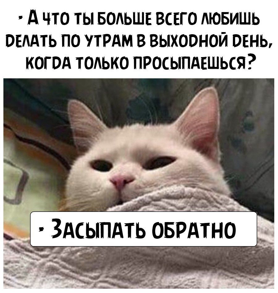 А что ты водьшв всвго АЮБИШЬ опаить по утрдм в выходной пень когвд тодько просыпдвшься