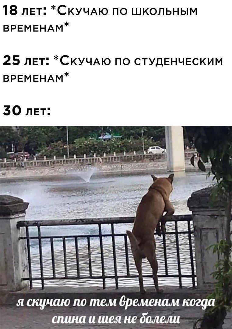 18 лет СКУЧАЮ по школьным ВРЕМЕНАМ 25 лет СКУЧАю по СТУДЕНЧЕСКИМ ВРЕМЕНАМ 30 лвт і