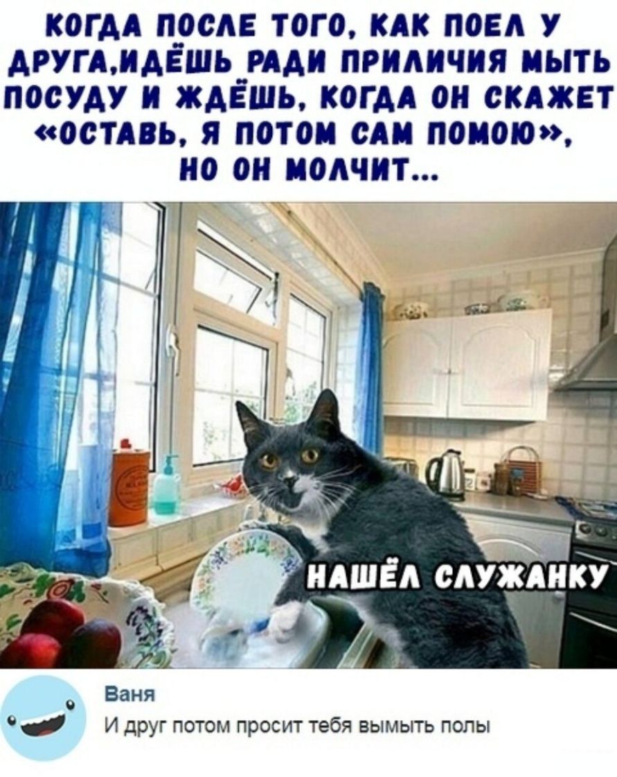 КОГАА ПОСЛЕ ТОГО КАК ПОЕА У АРУГАЩАЁШЬ РАА ПРИАИЧИЯ ИЫТЬ ПООУАУ И ЖАЁШЬ КОГДА ОН ОКАЖЕТ ОСТАВЬ Я ПОТОМ ОДМ ПОИОЮ О О МОЛЧИТ Ваня И друг потом просит тебя вымыть попы