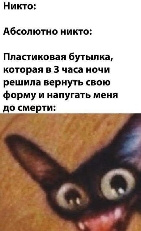 Никто АбСОЛЮТНО НИКТО Пластиковая бутылка которая в 3 часа ночи решила вернуть свою форму и напугать меня до смерти