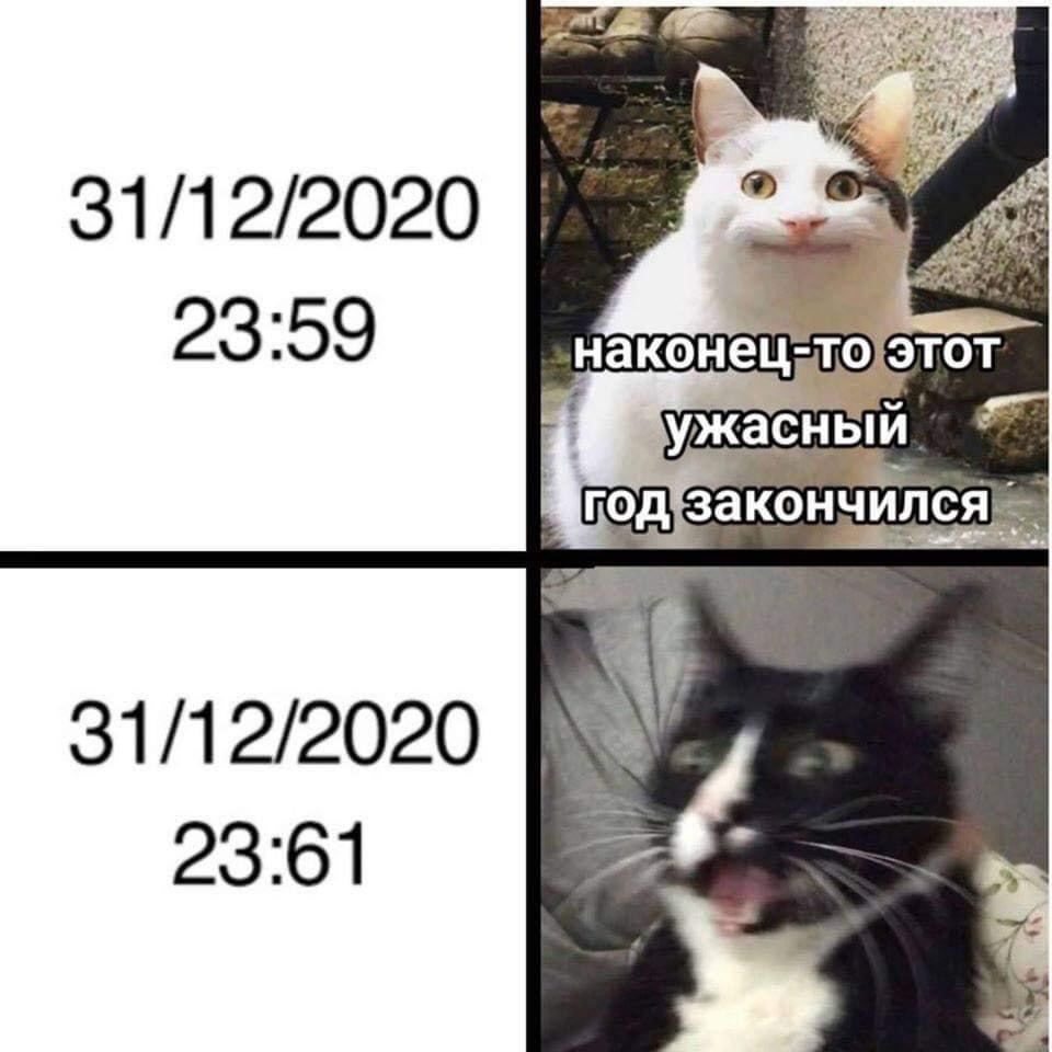 31122020 31122020 2361