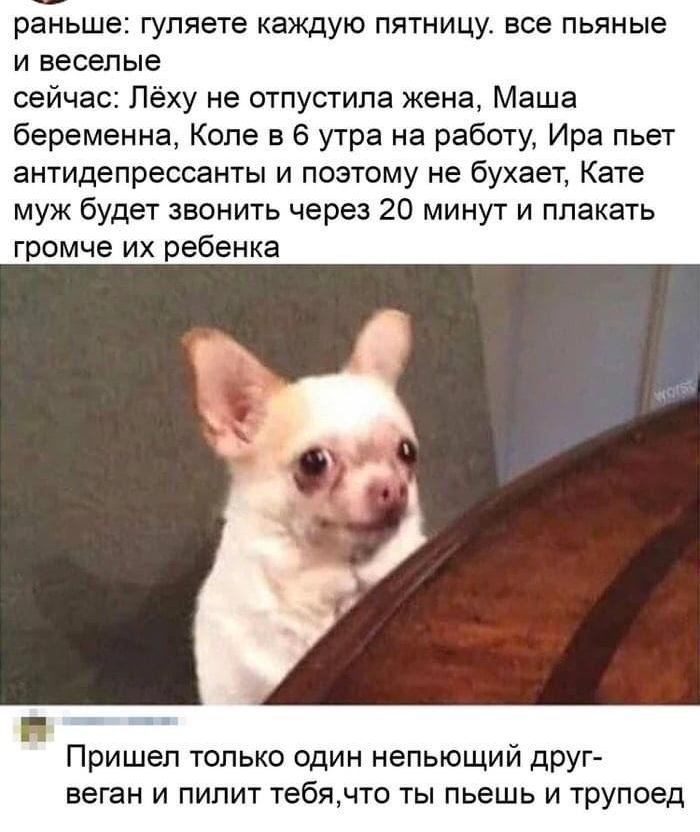 раньше гуляете каждую пятницу все пьяные и веселые сейчас Лёху не отпустила жена Маша беременна Коле в 6 утра на работу Ира пьет антидепрессанты и поэтому не бухает Кате муж будет звонить через 20 минут и плакать громче их ребенка Пришел только один непьющий друг веган и пилит тебячто ты пьешь и тр