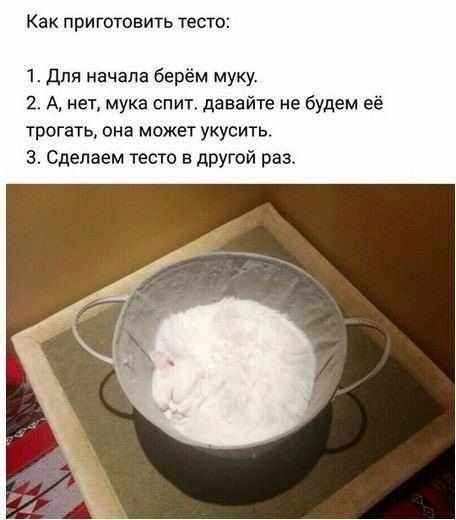 Как приготовить тесто 1 Для начала берём муку 2 А нет мука спит давайте не будем её трогать она может укусить 3 Сделаем тесто в другой раз