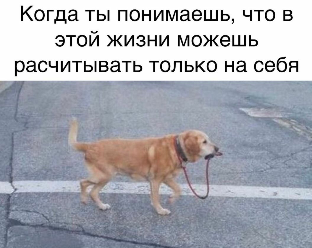 Когда ты понимаешь что в этой жизни можешь расчитывать только на себя _ё29ад 6 31 із