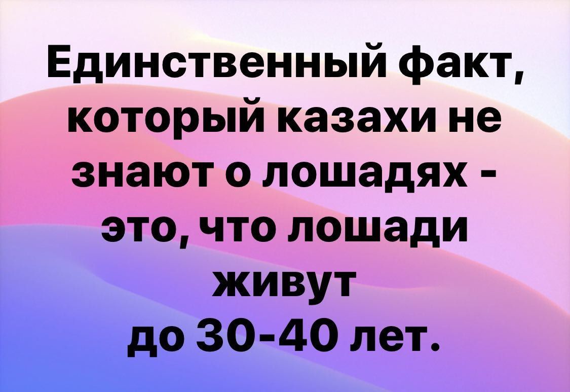 Единственный факт который казахи не знают о лошадях это что лошади живут