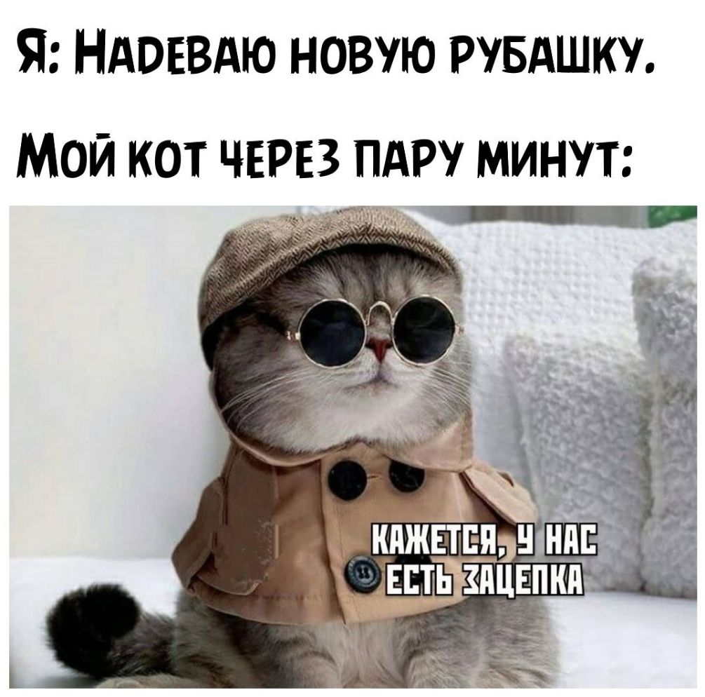 Я НАОЕВАЮ НОВУЮ РУБАШКУ МОЙ КОТ ЧЕРЕЗ ПАРУ МИНУТ