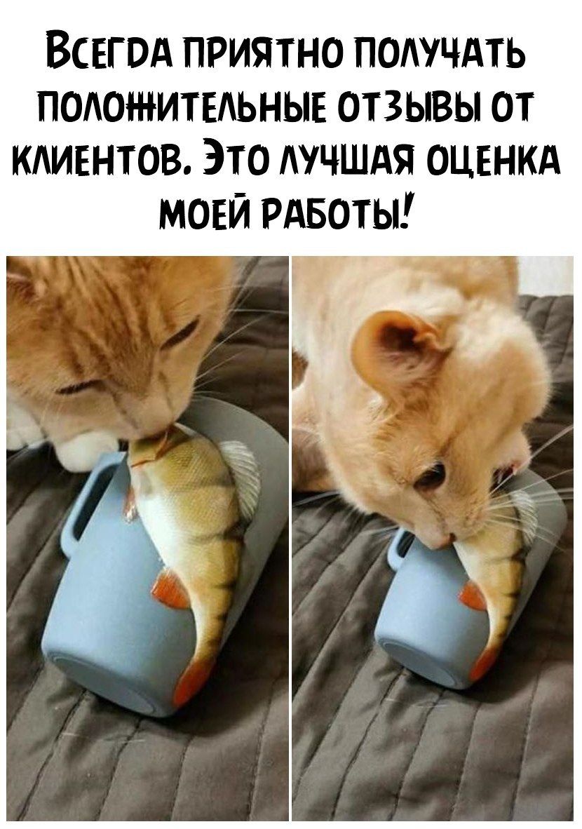 Всвгвд приятно подучдть поюжитыьныв отзывы от кдиентов Это АУЧШАЯ оценкд мови Рдвоты