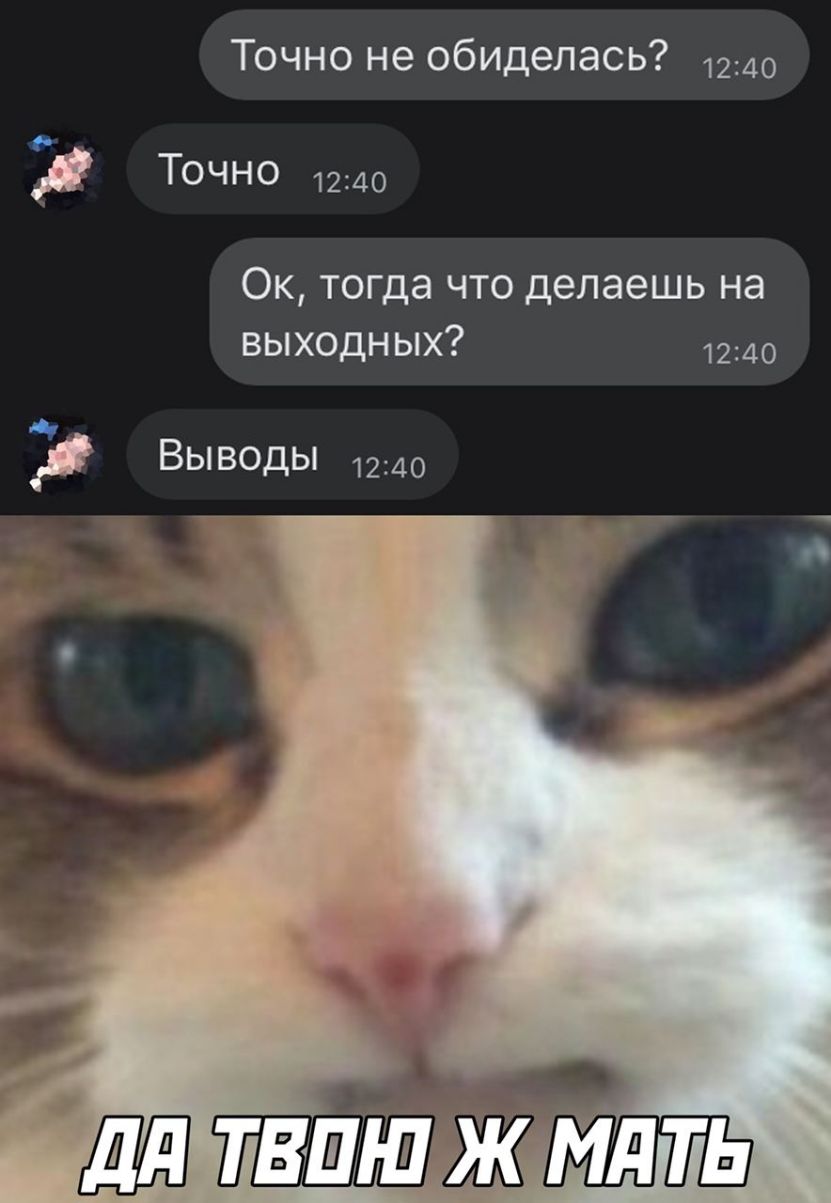 Точно не обиделась 1240 9 ТОЧНО 1240 Ок тогда что делаешь на выходных 1240 и Выведы 1240