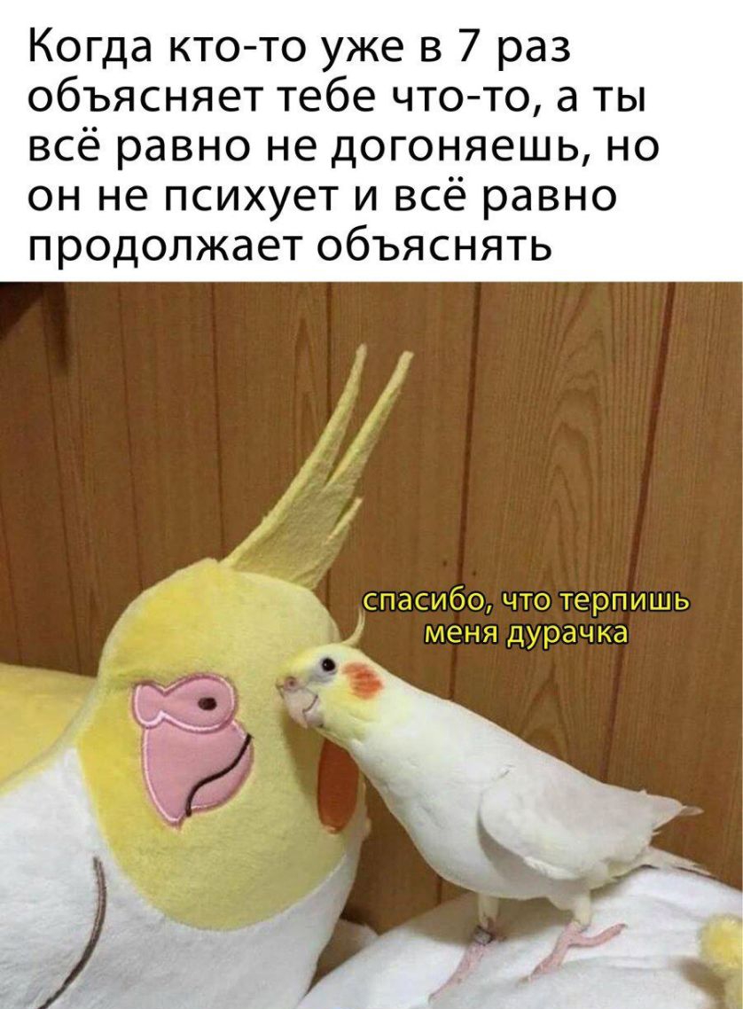 Когда кто то уже в 7 раз объясняет тебе чтото а ты всё равно не догоняешь но он не психует и всё равно продолжает объяснять