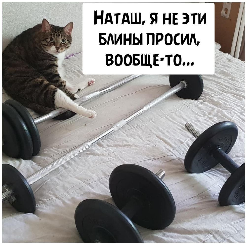 Ндтдщянв эти БАИНЫПРОСИЪ ВООБЩЕТО _ __ _ 7