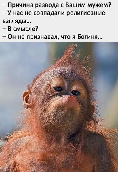 Причина развода с Вашим мужем У нас не совпадали религиозные ВЗГЛЯДЫ В смысле Он не признавал что я Богиня