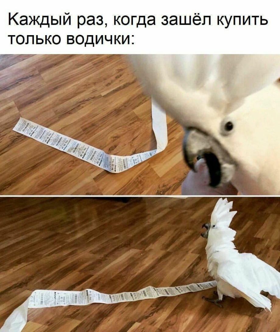 Каждый раз когда зашёл купить только водички