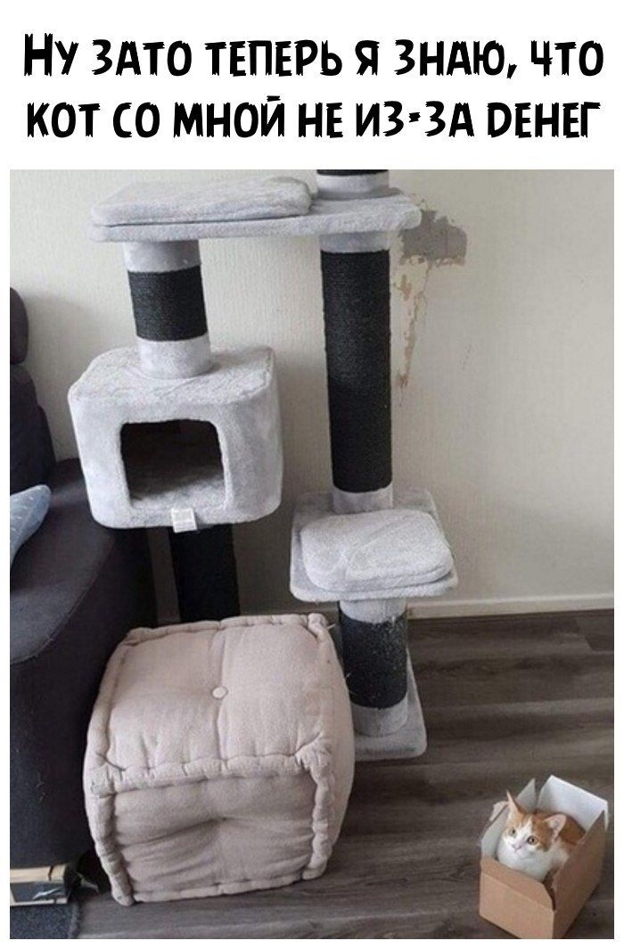 Ну это теперь я ЗНАЮ что кот со мной НЕ иззд овнвг