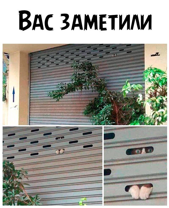 ВАс здмвтим