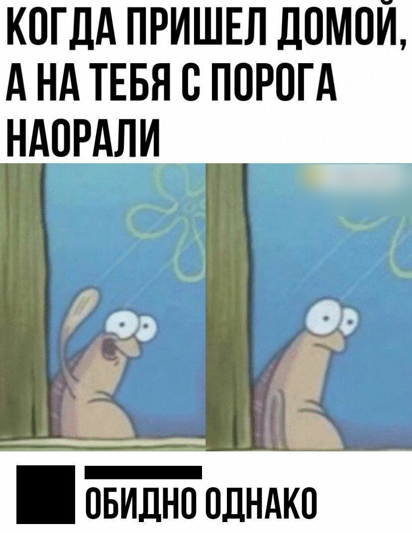 КОГДА ПРИШЕЛ ДОМОЙ А НА ТЕБЯ В ПОРОГА НАОРАЛИ овидно одндко