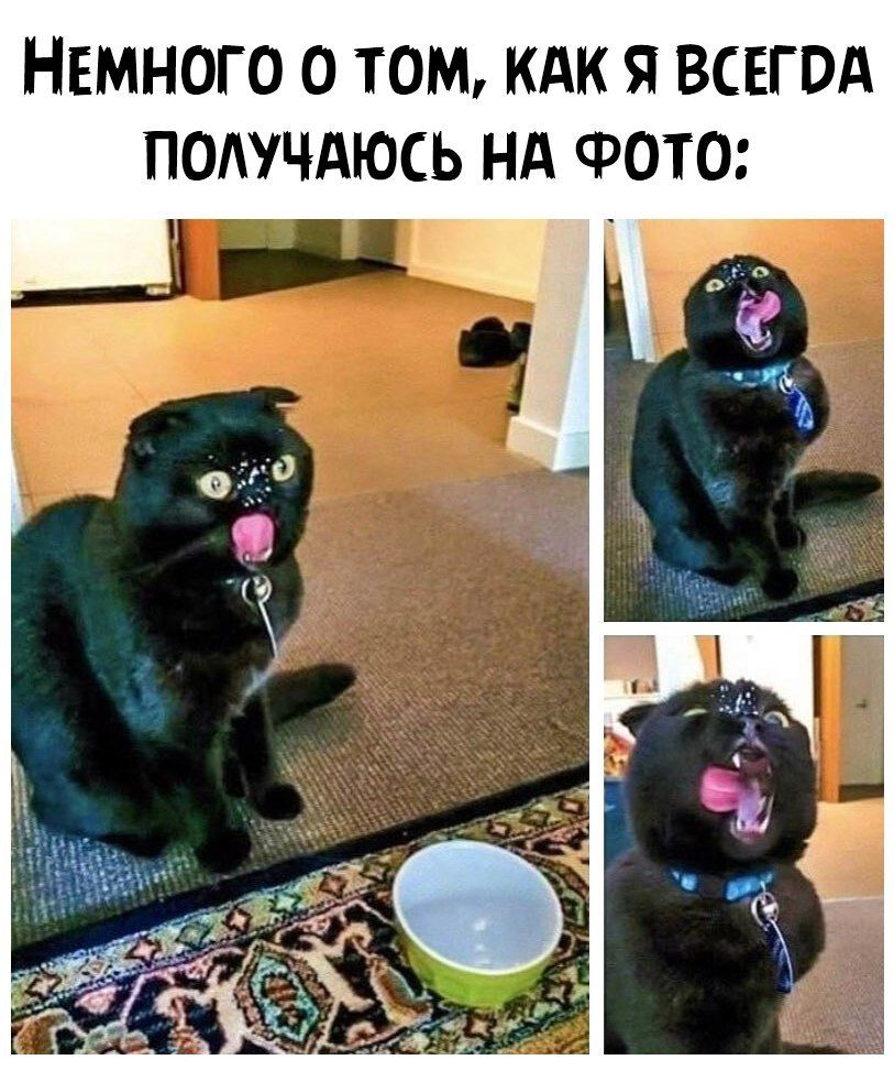 НЕМНОГО О ТОМ КАК Я ВСЕГОА ПОАУЧАЮСЬ Нд ФОТО