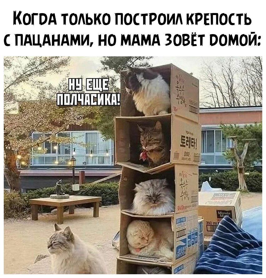 КОГОА ТОАЬКО ПОСТРОИА КРЕПОСТЬ С ПАЦАНАМИ НО МАМА ЗОВЁТ ООМОЙ