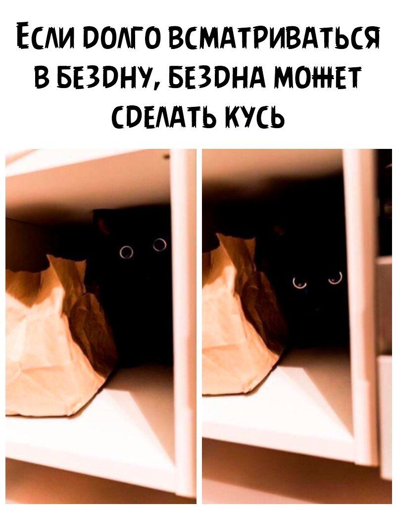 Есди помо всмдтривдться в звону БЕЗОНА может СОЕААТЬ кусь Га