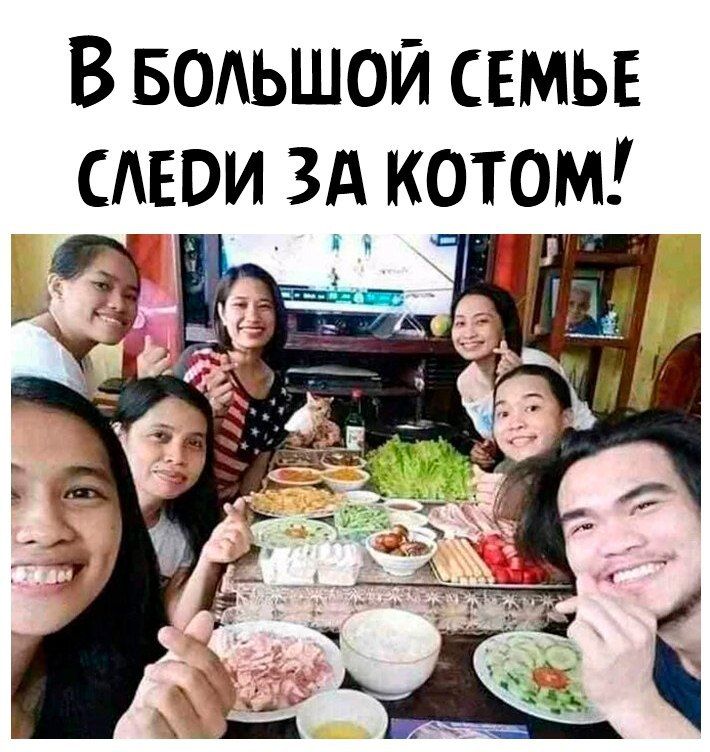 В БОАЬШОЙ свмьь САЕРИ ЗА котом
