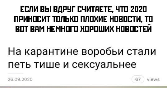 ЕБПИ ВЫ ВДРНГ ПЧИТПЕТЕ ЧТП 2П2П ПРИНППИТ ТПЛЬКП ПППХИЕ НПВППТИ ТР ВПТ ВПМ НЕМНПГП ХПРПШИХ НПВПЕТЕИ На карантине воробьи стали петь тише и сексуальнее