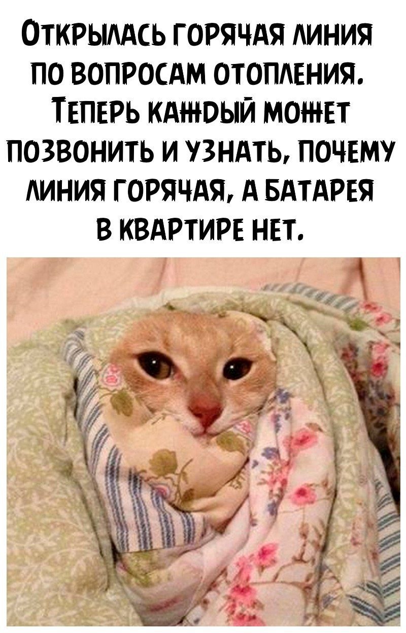 ОТКРЫААСЬ ГОРЯЧАЯ АИНИЯ ПО ВОПРОСАМ ОТОПАЕНИЯ ТЕПЕРЬ КАН ЮЫЙ МОЖЕТ ПОЗВОНИТЬ И ЗНАТЬ ПОЧЕМУ АИНИЯ ГОРЯЧАЯ А БАТАРЕЯ В КВАРТИРЕ НЕТ