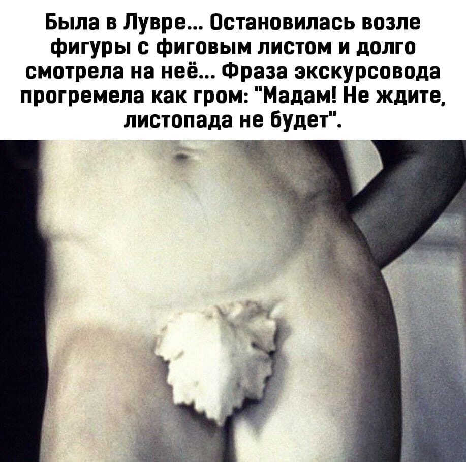 Была в Лувре Остановилась возле фигуры с фиговым листом и долго смотрела на неё Фраза экскурсовода прогремела как гром Мадам Не ждите листопада не будет