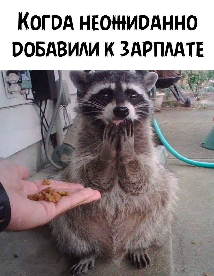 КОГОА НЕОИОАННО ООБАВИАИ К ЗАРПААТЕ