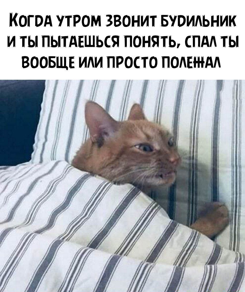 КОГОА ТРОМ ЗВОНИТ БЮИАЬНИК И ТЫ ПЫТАЕШЬСЯ ПОНЯТЬ СПА ТЫ ВООБЩЕ ИАИ ПРОСТО ПОАЕЖАА і а і