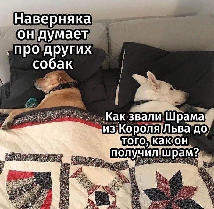 продругих